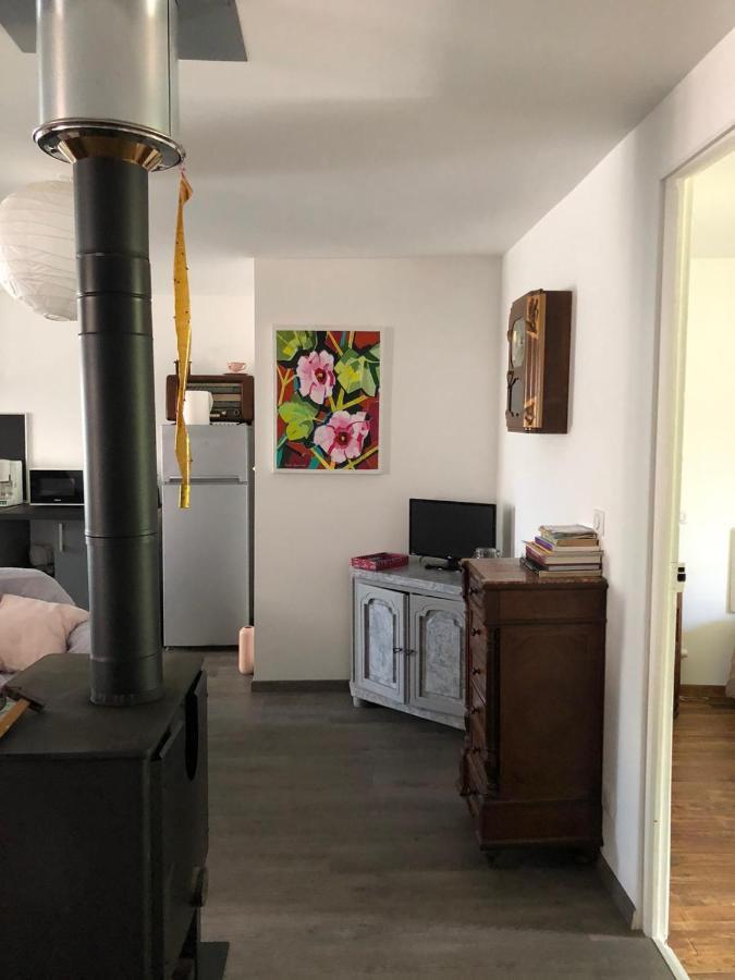 Le Monrepos Avec Jacuzzi Nordique Apartment Bielle Luaran gambar